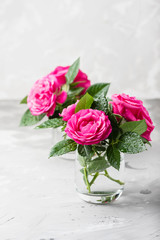 Amazing wild pink roses