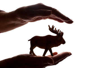Woman's hands with rare endangered animal figure - silhouette, protecting animals