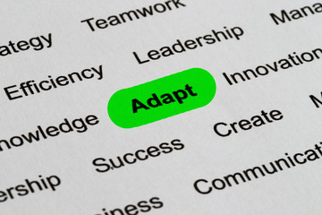 Adapt - Business Buzzwords, printed on white paper and highlighted