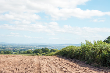 Fototapeta na wymiar Agricultural landscape in the British summertime.