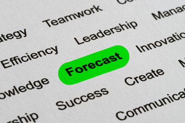 Forecast - Business Buzzwords, printed on white paper and highlighted