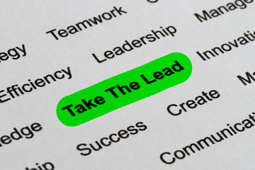 Take The Lead - Business Buzzwords, printed on white paper and highlighted