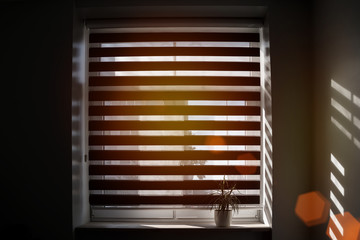 bright ray of sun shines into room through not tightly closed curtain of window, flower in flowerpot on windowsill