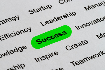 Fototapeta premium Success - Business Buzzwords, printed on white paper and highlighted