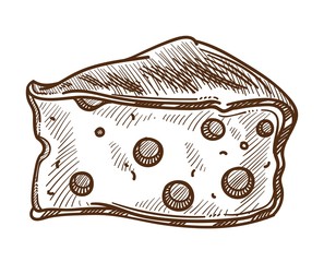 Cheese with holes isolated sketch diary product food