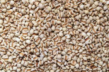 Picture of millet or job’s tears is cereal and is food because it is used to advertise food.