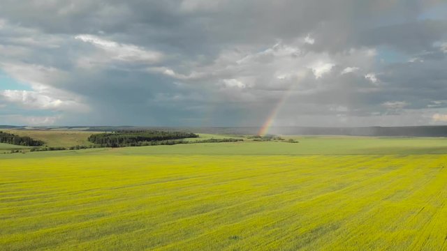 Flying around the rainbow over the yellow. Sunny rainy summer day. Aerial photography from quadcopter