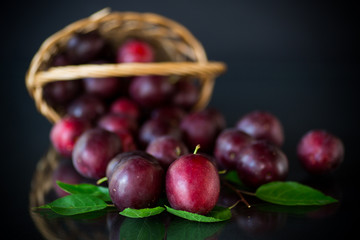organic red ripe cherry plum isolated on black