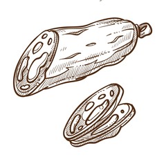 Smoked sausage meat food slices isolated sketch