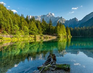 Alps Mountain Trees Reflected in a Lake