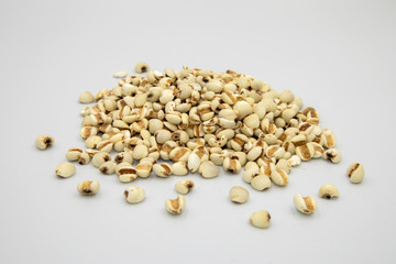 Job’s tears or Millet in on a white background,viwe top