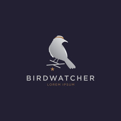 Vintage bird, branches and star logo template