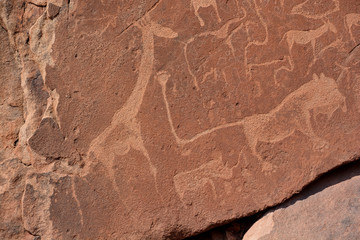 Petroglyphs in Twyfelfontein (Afrikaans: uncertain spring), officially known (Damara/Nama: jumping...
