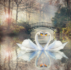 Scenic view of  swan love in autumn landscape with beautiful old bridge in foggy garden.