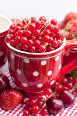 Red Summer Fruits In Polka Dot Mug