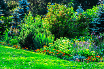 Home garden flowerbed
