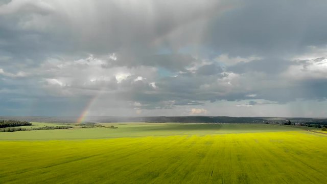 Flying over the yellow fields with a view of the rainbow. Sunny rainy summer day. Aerial photography from quadcopter