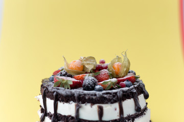 FRUITS CAKE CONCEPT