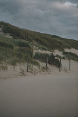stormy beach