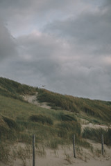 beach-storm