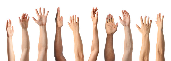 Fototapeta African-American man extending hand for shake on white background, closeup obraz