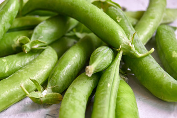 many of Green Pea Pods on factured surface