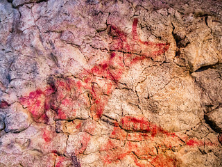 Rock painting of deer and horse from the cave of El Pendo, Cantabria, Spain 