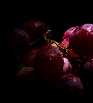 Red grapes sprinkled with waterdrops in dark setting