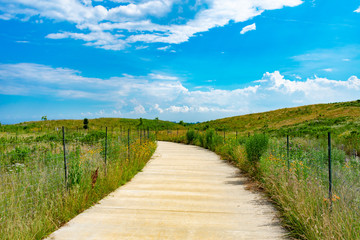 Fototapeta na wymiar Path with Native Plants and a Blue Sky at Northerly Island in Chicago during the Summer