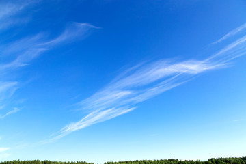 Beautiful blue sky with white fancy clouds