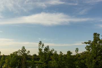 Obraz premium Clouds