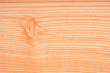 cross section of various patterned trees