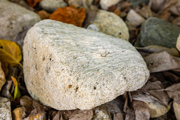 Fossilized Coral Stone on a Sandy Beach, Hainan, China