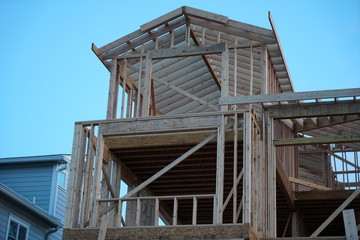 Obraz premium Wood 1