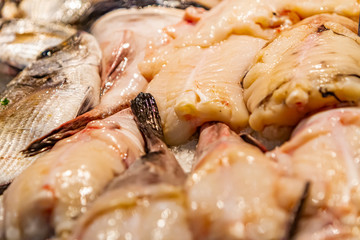 Monkfish (Lophius piscatorius) on the market
