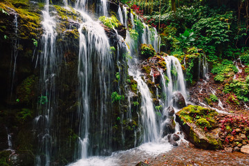 Cascade waterfall in tropical forest.