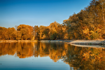 Fototapeta na wymiar Beautiful autumn landscape. Golden forest and lake in sunny weather