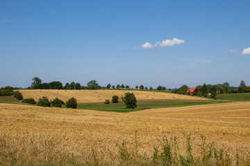 Fototapeta na wymiar Getreideernte in wunderschöner Landschaft