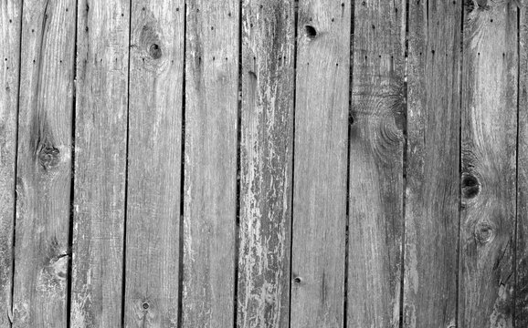 Weathered wooden fence in black and white.