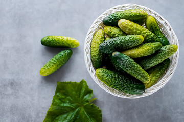 Whole fresh organic cucumbers in a white basket on a gray background.