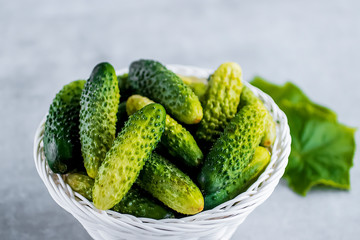 Whole fresh organic cucumbers in a white basket on a gray background.
