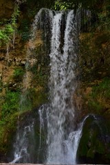 Obraz premium waterfall in the forest