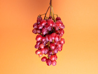 Natural organic pink juicy grapes on a trend orange 
