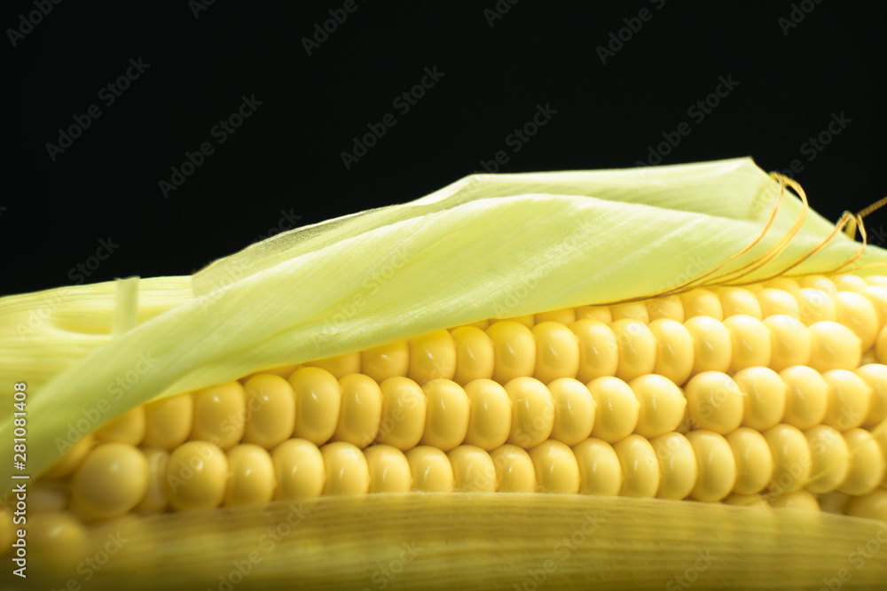 Poster close up beautiful fresh corn maze on a black background. macro view.