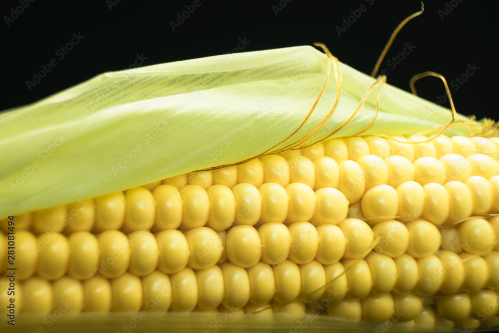 Poster close up beautiful fresh corn maze on a black background. macro view.