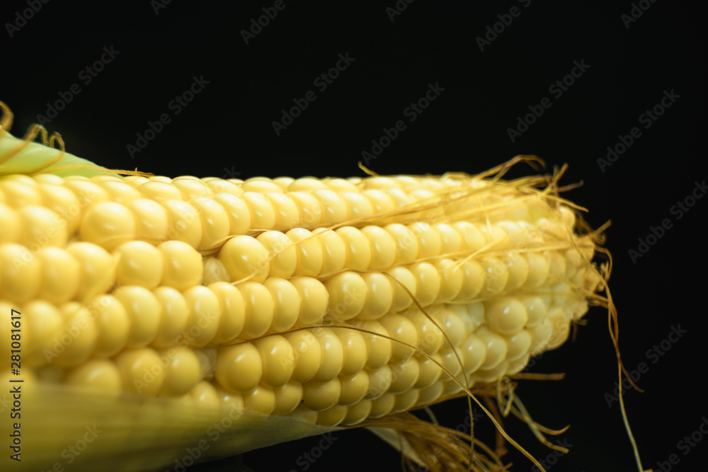 Poster close up beautiful fresh corn maze on a black background. macro view.