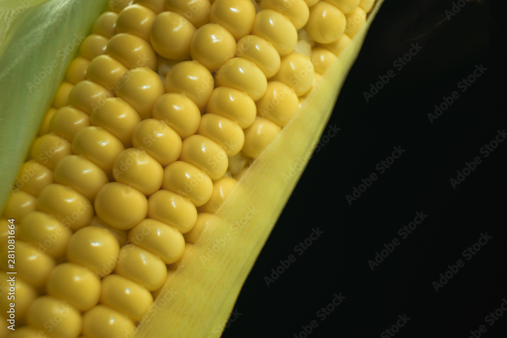 Poster close up beautiful fresh corn maze on a black background. macro view.