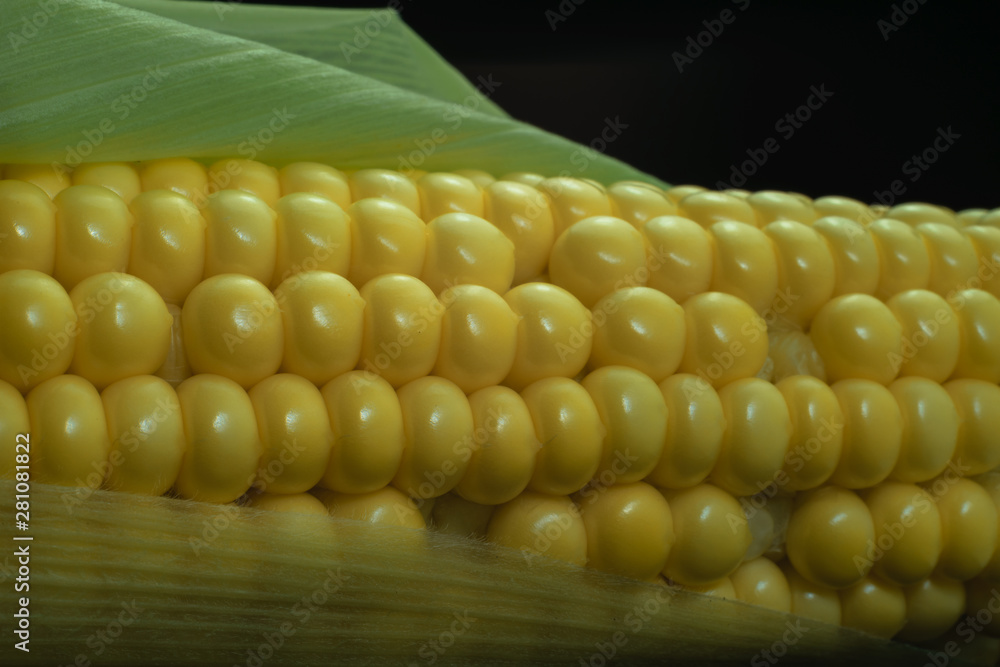 Poster close up beautiful fresh corn maze on a black background. macro view.
