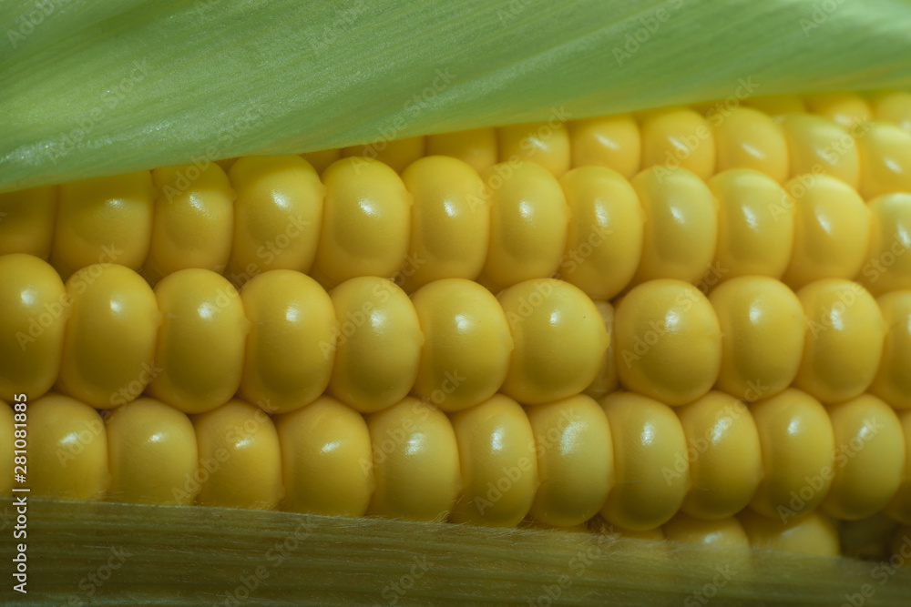 Aufkleber close up beautiful corn maze background. macro view.