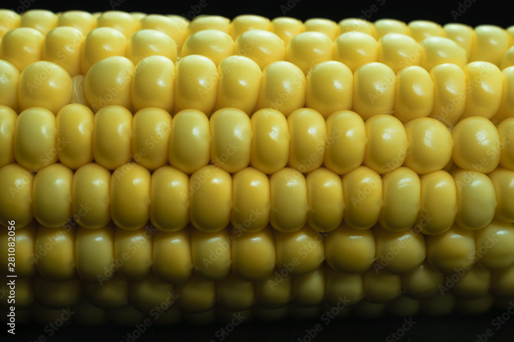 Poster close up beautiful fresh corn maze on a black background. macro view.
